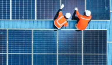 World Energy Employment 2024 – Analysis