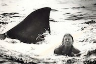Steven Spielberg told "Vanity Fair" that the Dallas preview of "Jaws" in 1975 was "the most...
