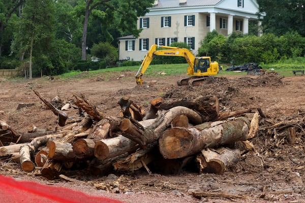 Cut trees are shown as trees were cleared next to Mimosa Hall on the property a few weeks ago, shown Monday, June 23, 2025, in Roswell, Ga. The city of Roswell is clearing the site for a parking lot. (Jason Getz/AJC)