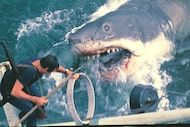Roy Scheider in a scene from "Jaws."