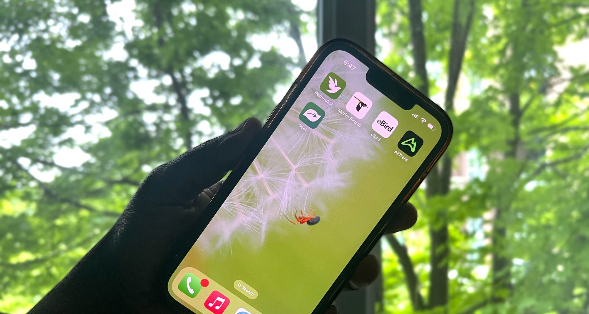 These 5 Free Apps Instantly Improved My Nature Photography