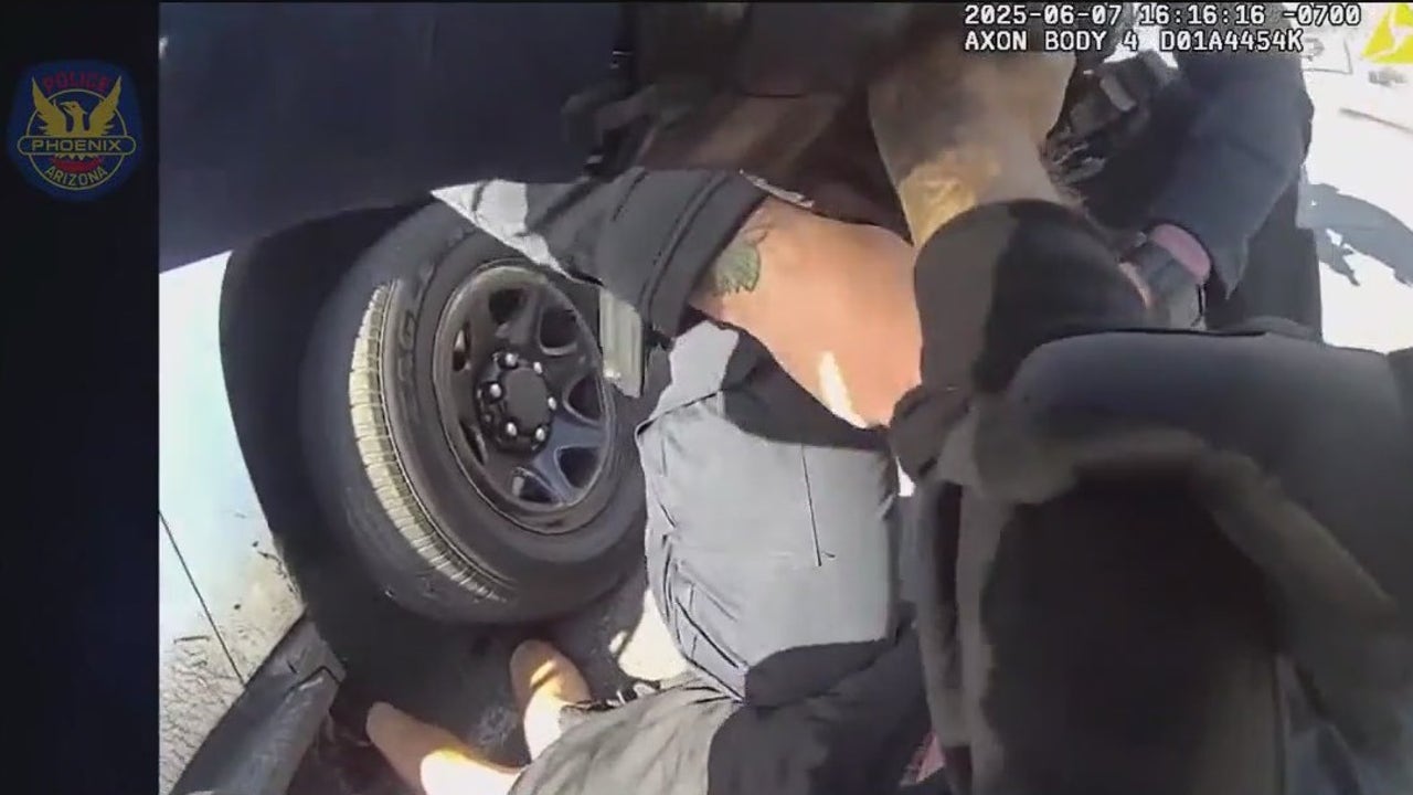 Police car hits suspect allegedly reaching for a gun after burglary