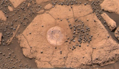 The image looks down on an orange rock on Mars.
On the rock are many nearly spherical smaller rocks.
Please see the explanation for more detailed information.