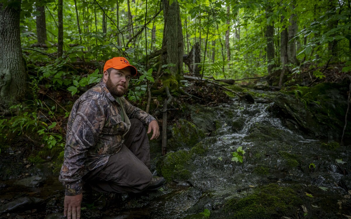Conditions are perfect in the Maine woods for moose-killing ticks