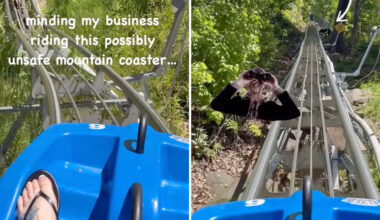"I couldn't imagine being on that ride."