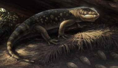 Scientists Discover 'Goblin Prince' That Roamed With Dinosaurs : ScienceAlert