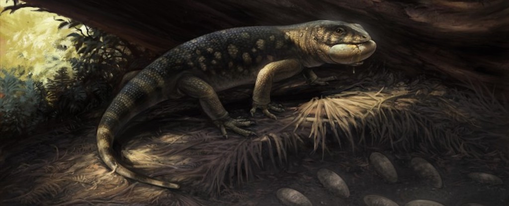Scientists Discover 'Goblin Prince' That Roamed With Dinosaurs : ScienceAlert