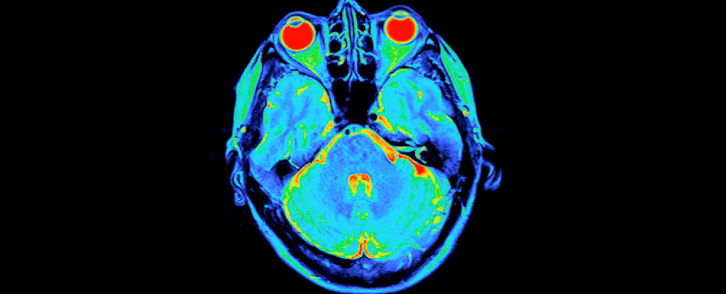 Your Brain Has a Hidden Rhythm, And It May Reveal How Smart You Are