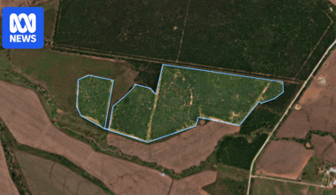 ACF says satellite evidence shows mass native habitat destruction by farmers