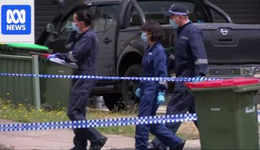Ballarat woman Cheryl Lucas committed to stand trial accused of murder