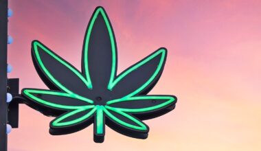 Cannabis use disorder may raise your psychiatric illness risk