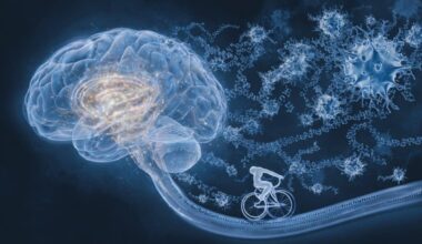 Neuroscience News logo for mobile.
