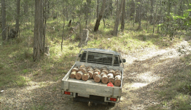 Aussies warned of $137,850 fines after illegal national park act caught on camera