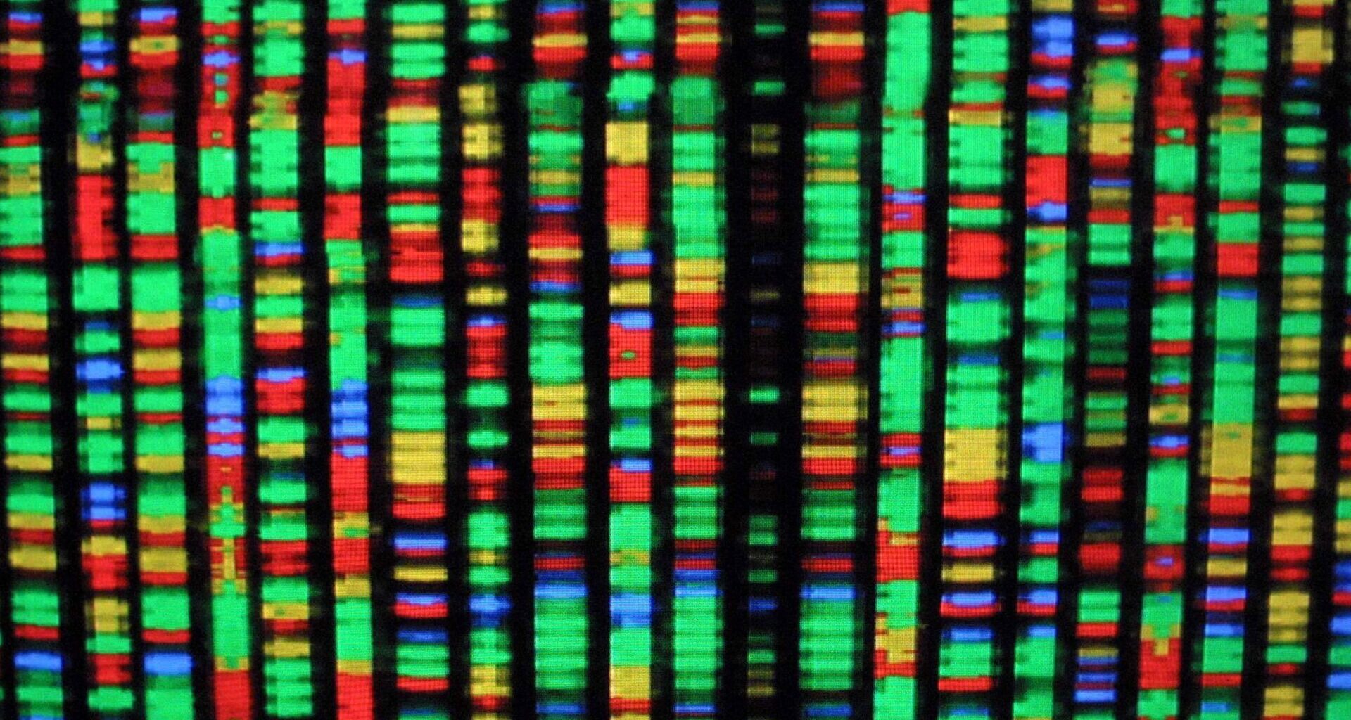 Researchers are hoping to synthesize an entire human genome from scratch