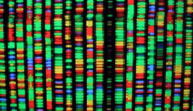 Researchers are hoping to synthesize an entire human genome from scratch