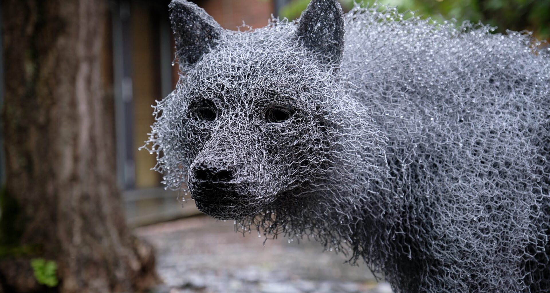 a detail of a life-size wire sculpture of a wolf