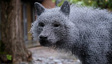 a detail of a life-size wire sculpture of a wolf