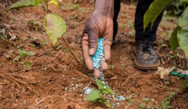 India's agrochemicals market eyes $14.5 billion by 2028 with 9% CAGR: Report