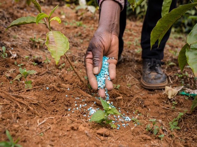India's agrochemicals market eyes $14.5 billion by 2028 with 9% CAGR: Report