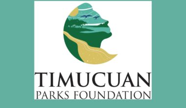 Volunteers needed for post-holiday cleanup at Hanna Park – 104.5 WOKV