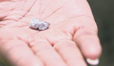 Meteorite hunters searching for fragments in Henry County – WSB-TV Channel 2