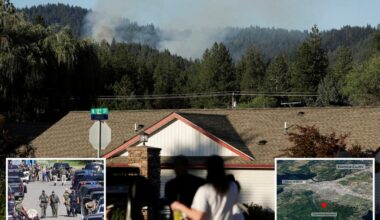 Chilling audio captures firefighter begging for help after crazed gunman ambushes crew responding to Idaho fire, killing 2