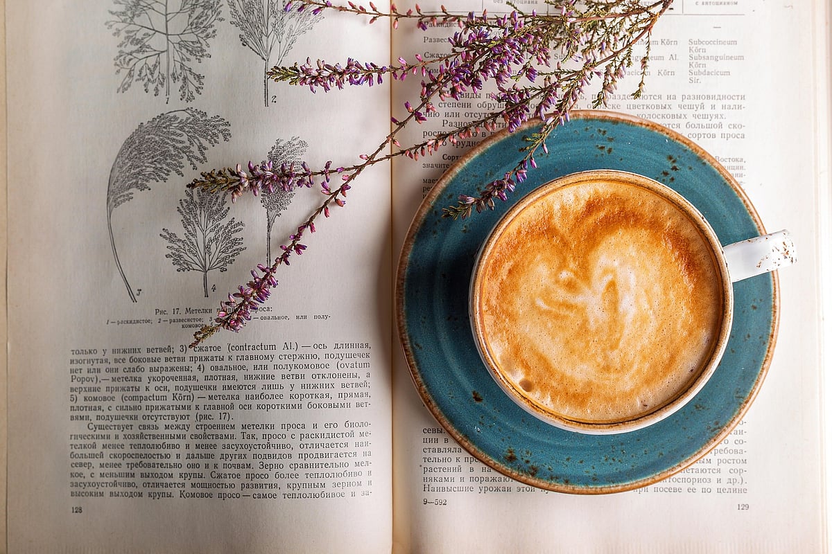 How Gen Z is bringing back book bars