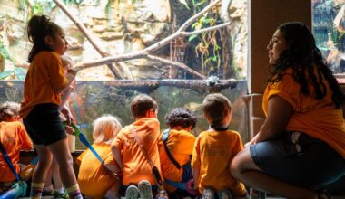 Preschool students learn outdoors at Will Smith Zoo School
