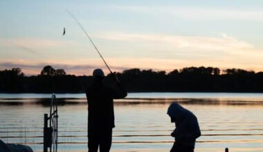 MN DNR: Mississippi River Between Little Falls and St. Cloud Offers World-Class Fishing Without a Boat