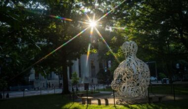 The tenured engineers of 2025 | MIT News