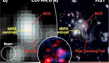 Astronomers discover radio signals from galaxy cluster