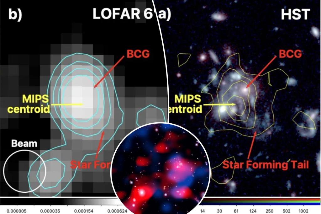 Astronomers discover radio signals from galaxy cluster