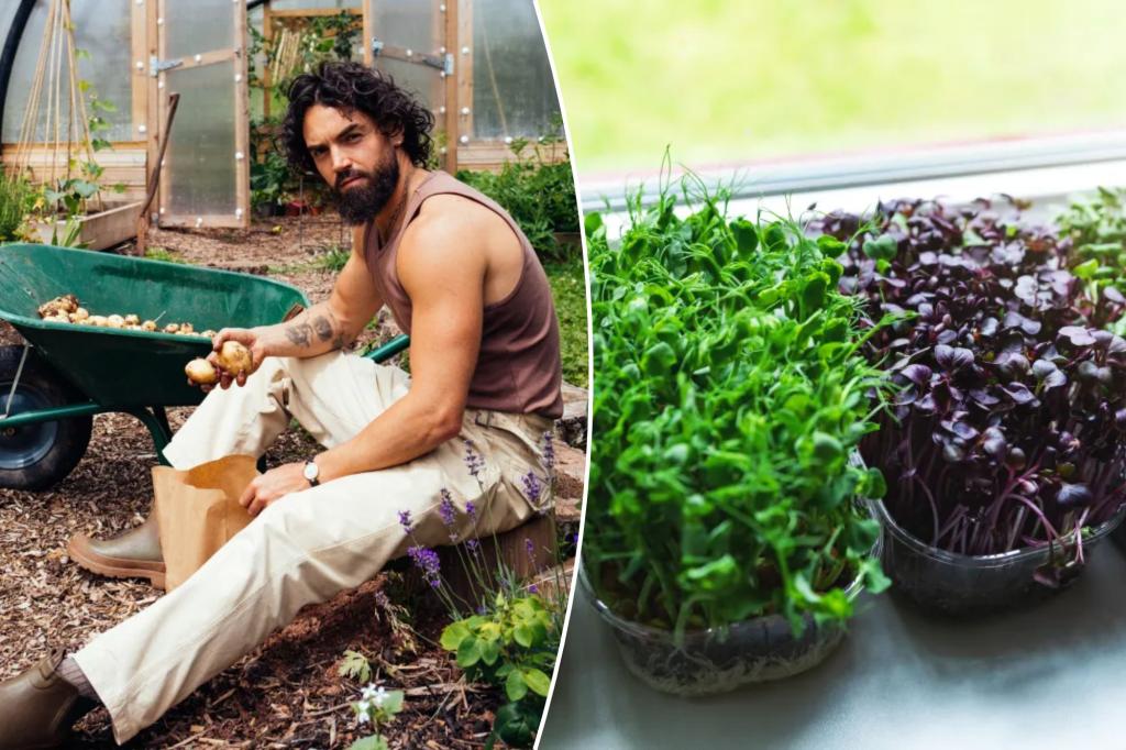 3 healthy foods you can grow at home — even without a yard