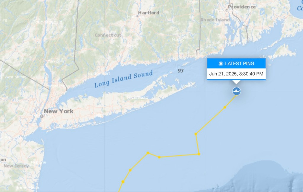 Map showing the tracked path of a great white shark off the New Jersey coast.