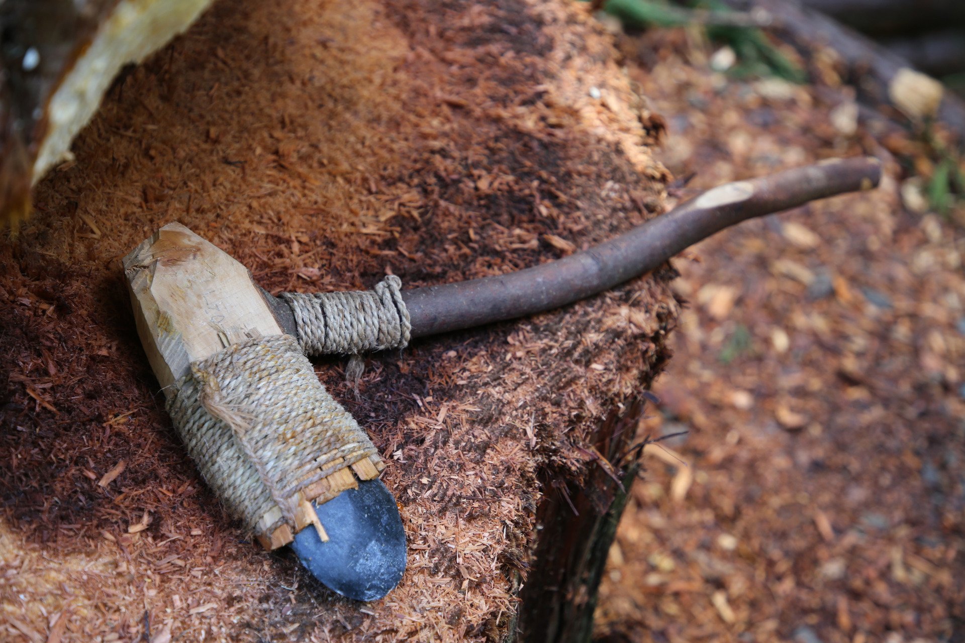 Prehistoric Tool