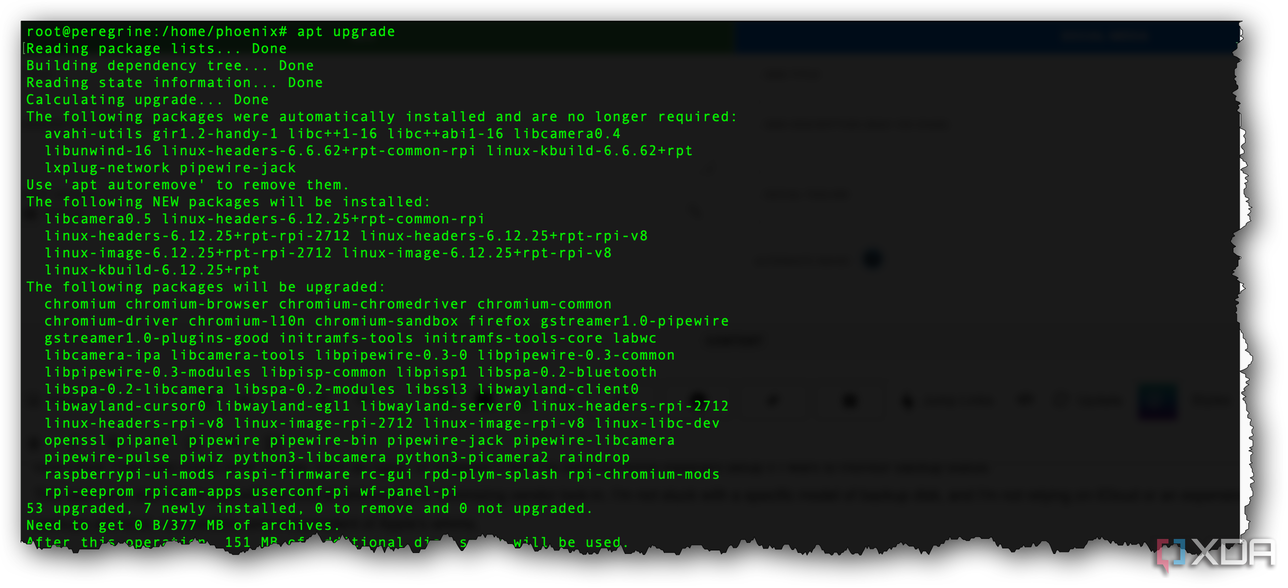 Raspberry Pi apt update and upgrade