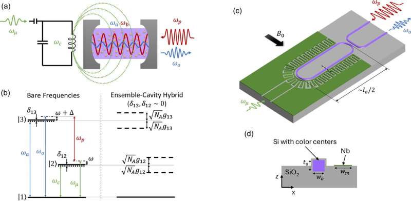 Scientists propose blueprint for 'universal translator' in quantum networks