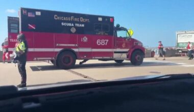 Man pulled from Lake Michigan at Navy Pier, hospitalized in critical condition