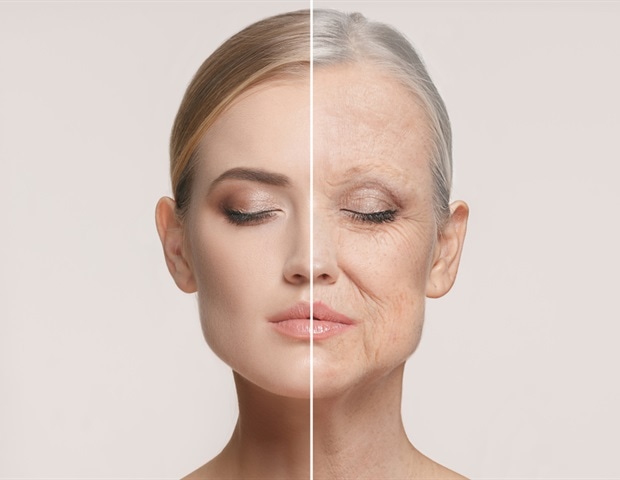Using machine learning to map brain aging at the cellular level