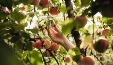 How Nature Nudges Us to Eat Better