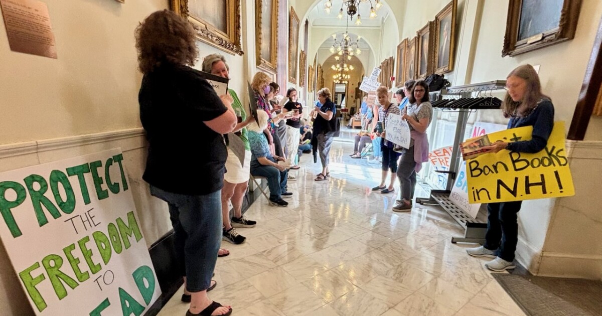 ‘We’re not Nazi Germany”: Protestors call on Ayotte to veto book ban bill.