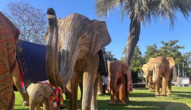 100 ‘elephants’ migrate into Beverly Hills with a message of co-existance
