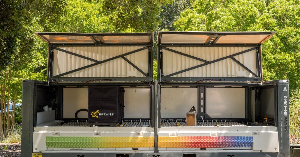 How AI is lowering the risk of bee colony collapse in California