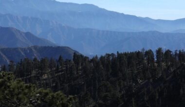 Trump rescinds 'Roadless Rule' that protects 58 million acres of national forests