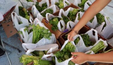 L.A. restaurants and nonprofits mobilize to deliver groceries to sheltering immigrants