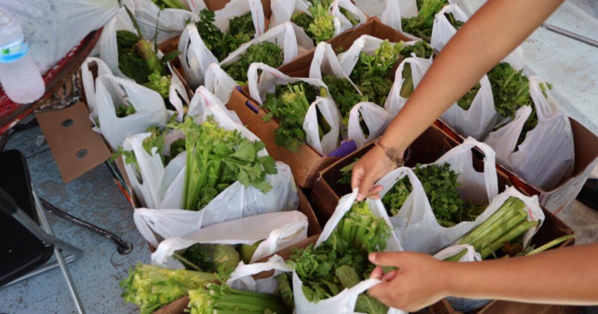 L.A. restaurants and nonprofits mobilize to deliver groceries to sheltering immigrants