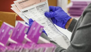 Survey shows Californians want ballots in more languages