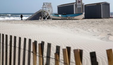 Officials believe young shark bit a woman at a New York beach