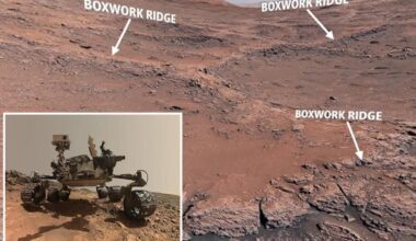NASA's Curiosity rover snaps pics of Mars 'spiderwebs' that indicate Red Planet's watery past