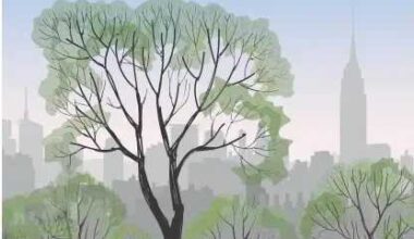 Welcome to Your Ultimate Insiders’ Guide to New York City 2025-2026 – New York Family